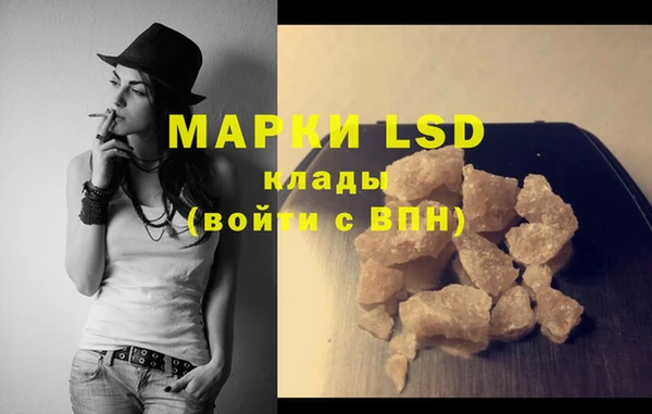 PSILOCYBIN Алзамай