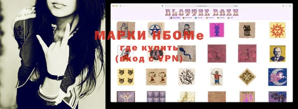 PSILOCYBIN Алзамай