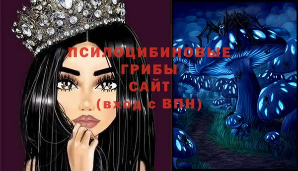эйфоретик Алексин