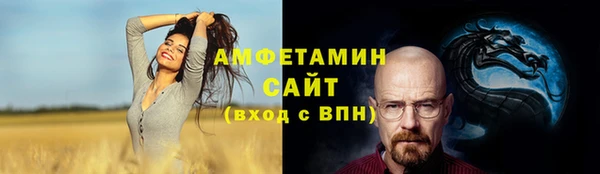 PSILOCYBIN Алзамай