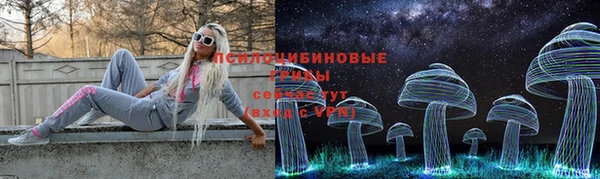 эйфоретик Алексин