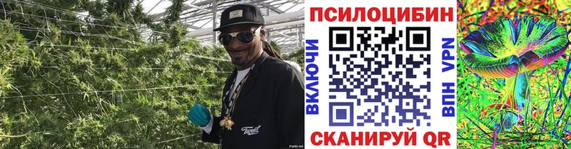 Псилоцибиновые грибы Magic Shrooms  Саров 