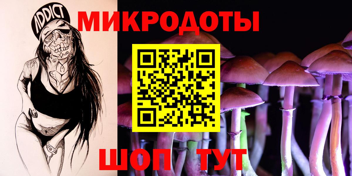 Псилоцибиновые грибы Cubensis Саров